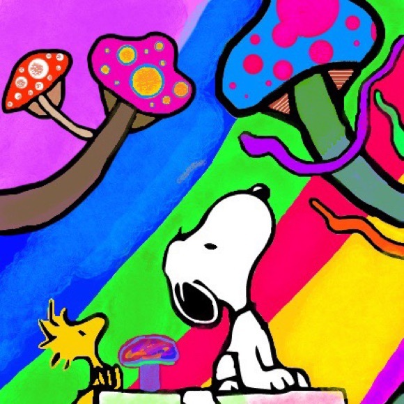 Meet your Posher, Tyler - Picture 1 of 1